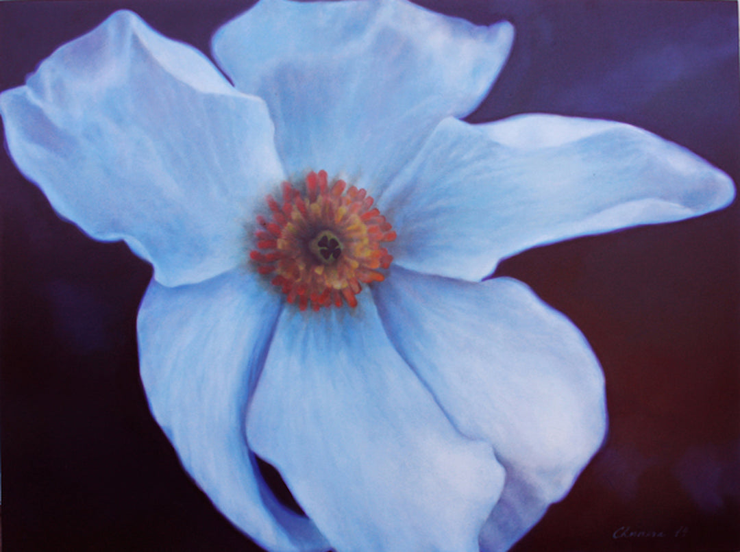 Springing into Bloom
