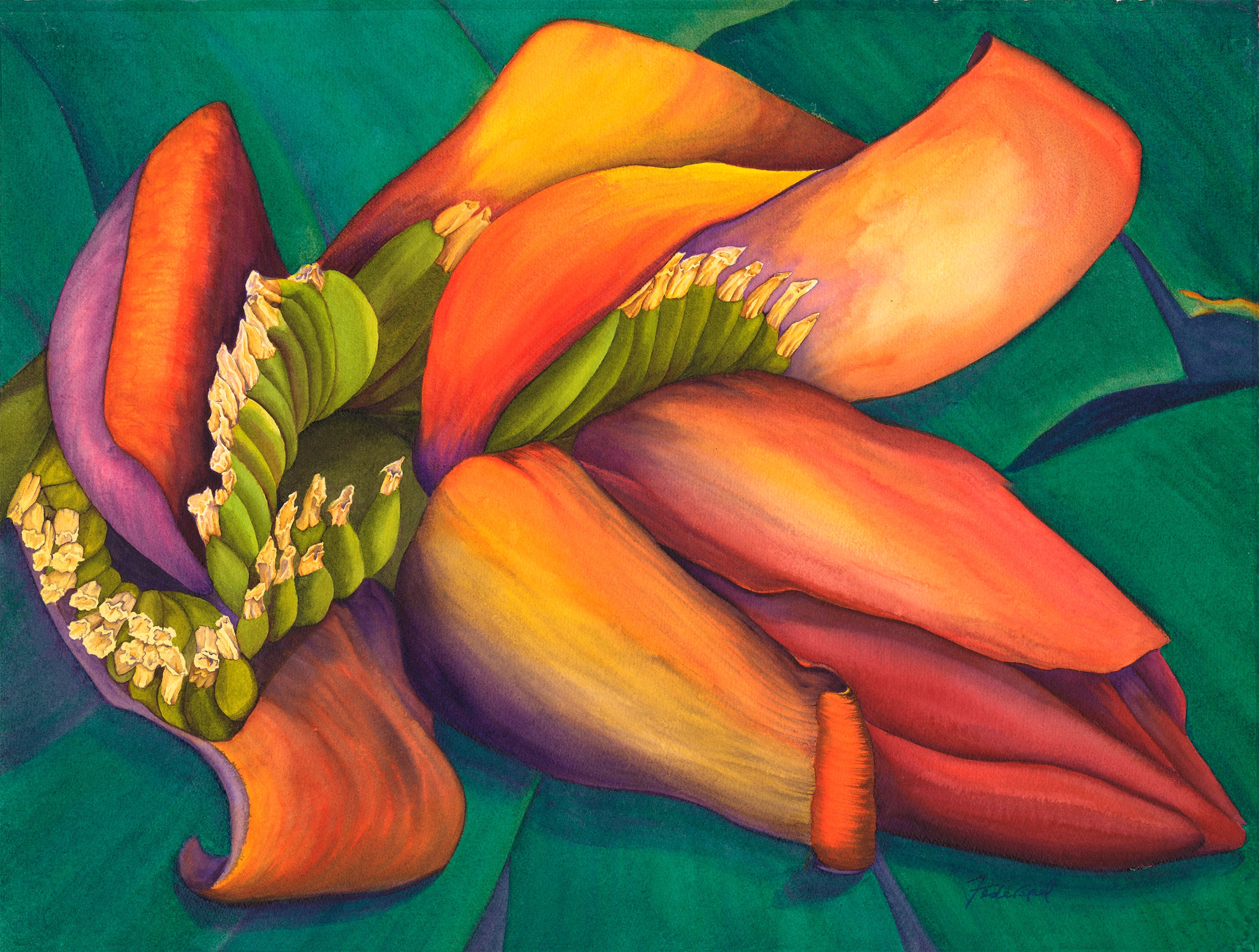 Bursting with Bananas by Patrice Federspiel - Tiffany's Art Agency