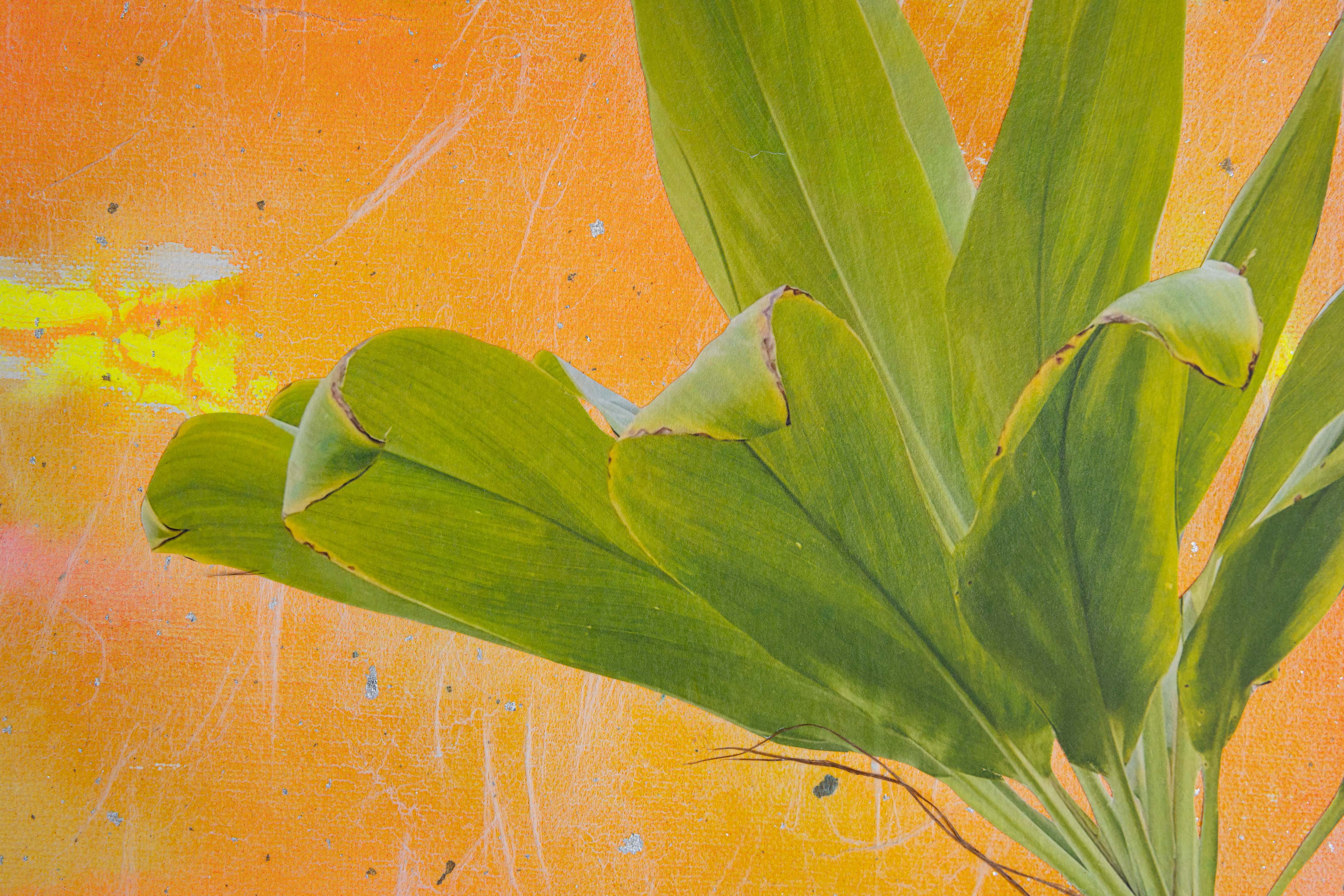 Somewhere Near and Far, Hilo Post Office by Margo Ray - Tiffany's Art Agency - Margo Ray