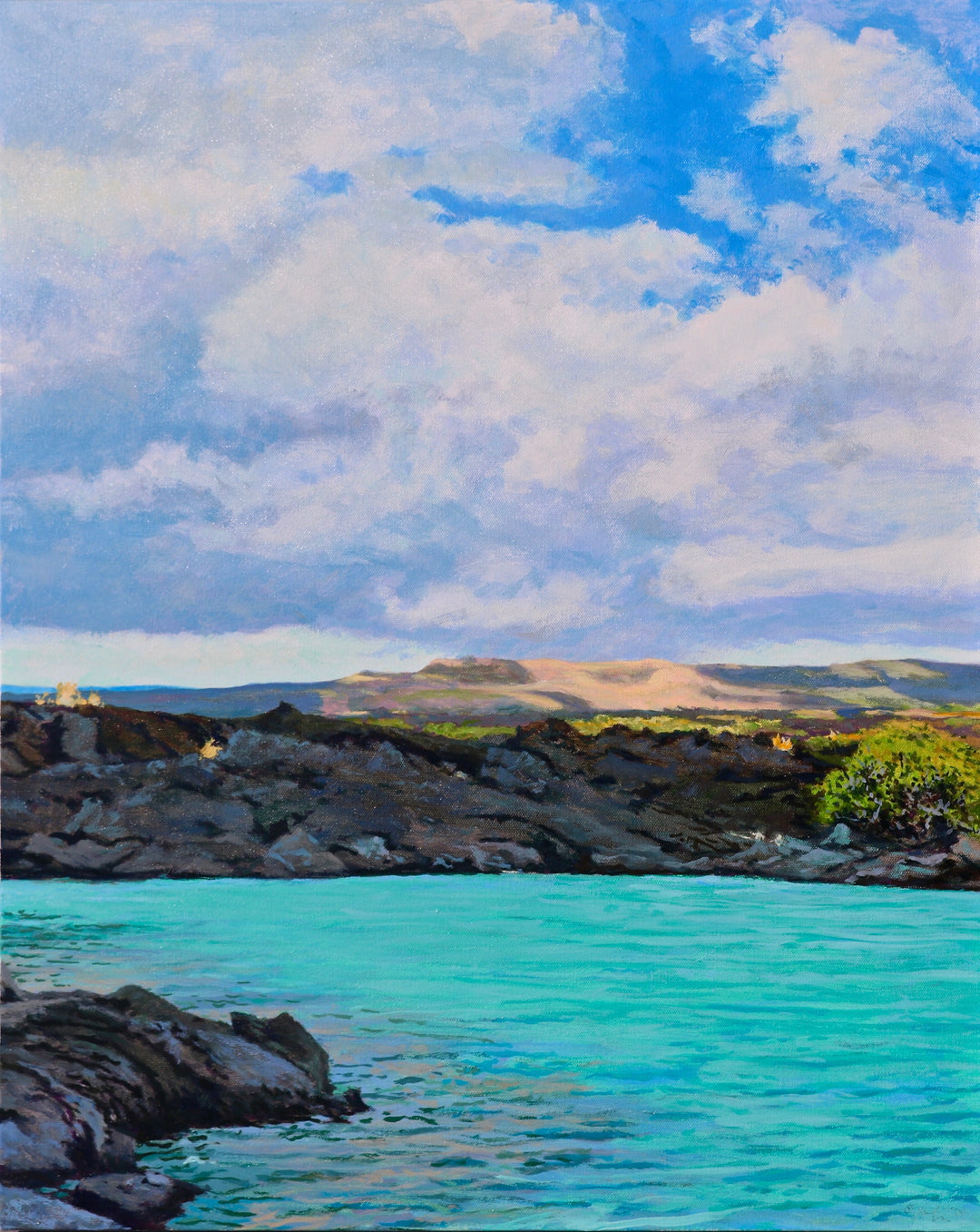Kiholo Looking Inland by Peter Loftus - Tiffany's Art Agency - Peter Loftus
