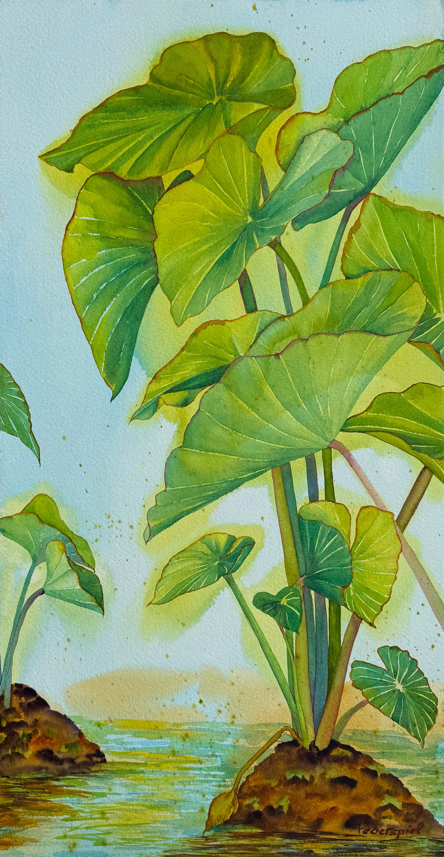 Kalo: Living Ohana by Patrice Federspiel - Tiffany's Art Agency - Patrice Federspiel