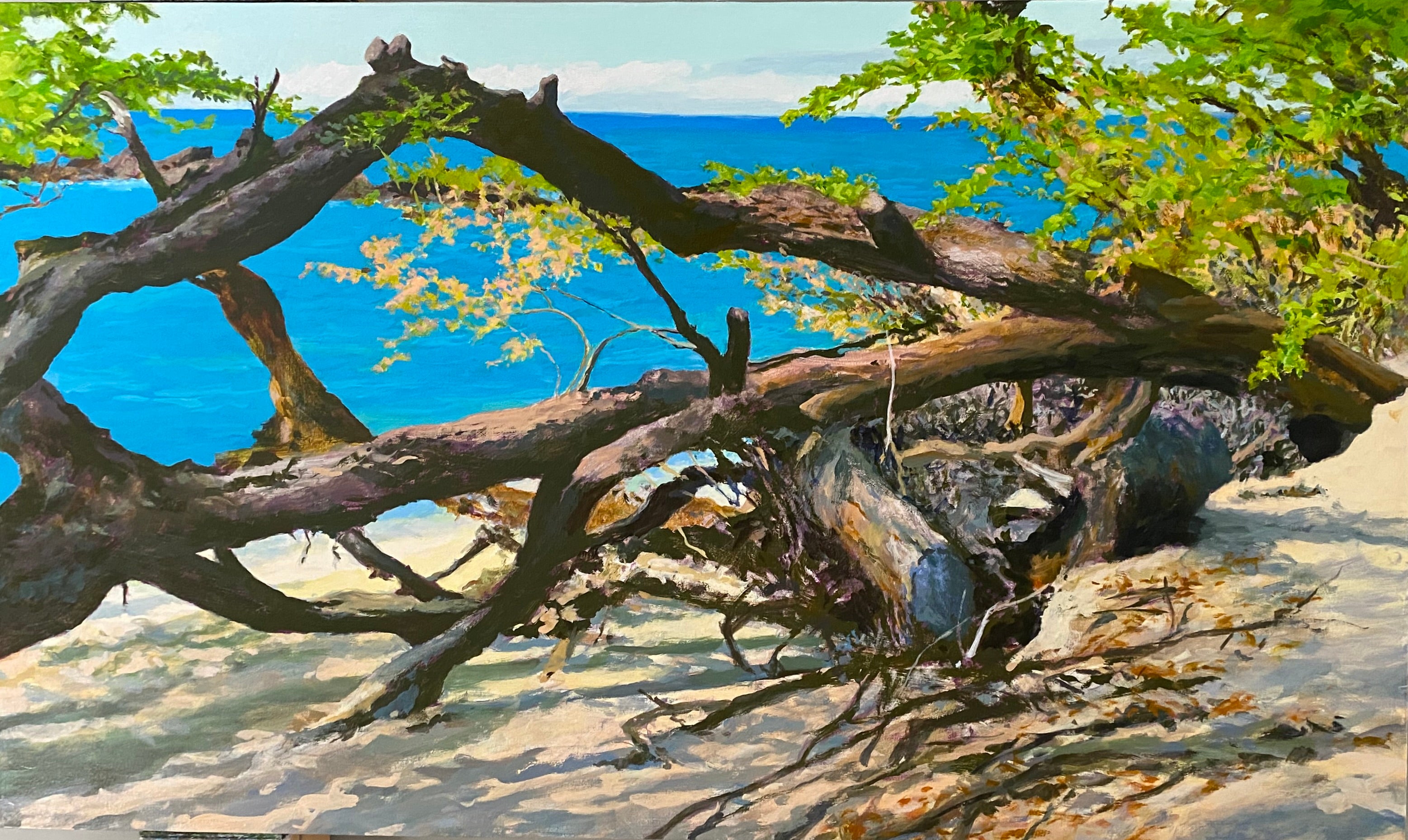 Kiawe Tree at Beach 69 by Peter Loftus - Tiffany's Art Agency - Peter Loftus