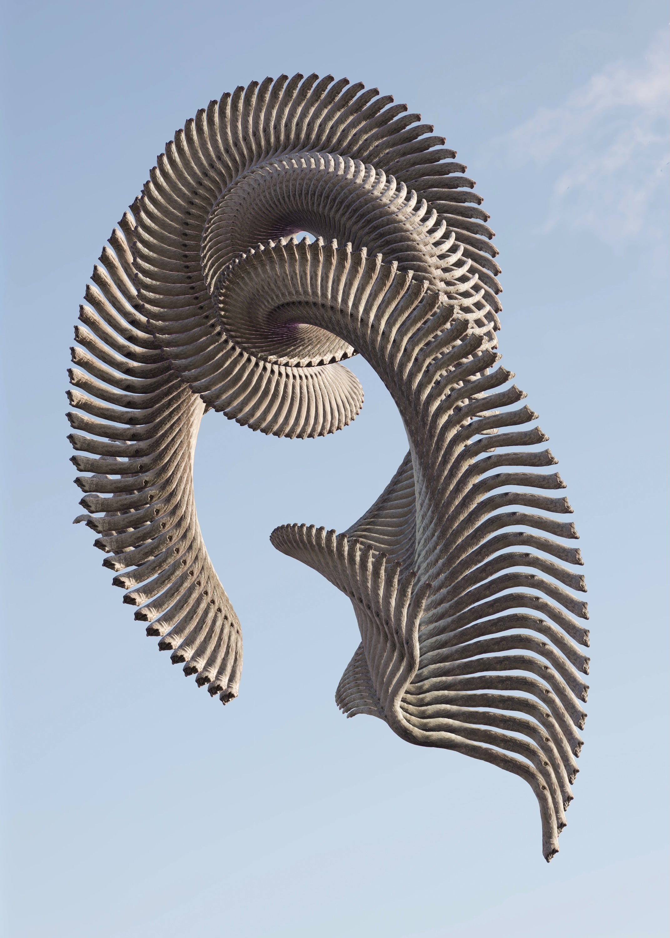 Temporal Sculpture 008 | Ohia Branch | 129 Moments by Anders Carlson