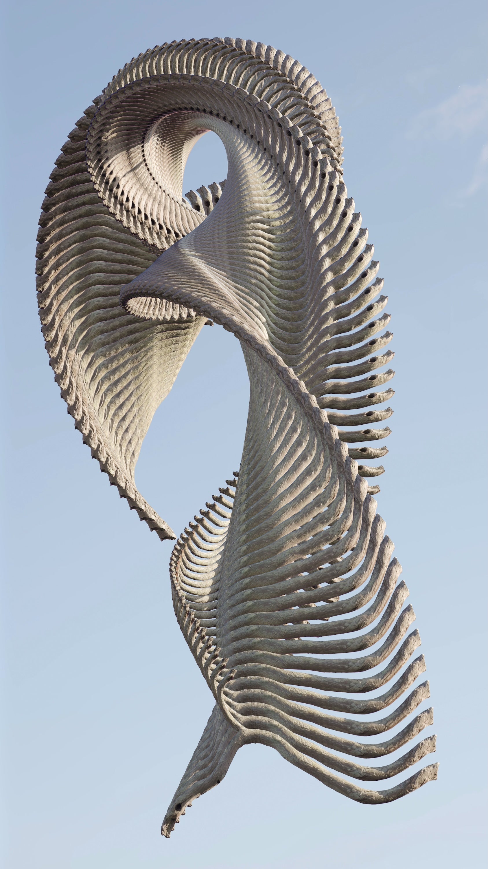 Temporal Sculpture 009 | Ohia Branch | 137 Moments by Anders Carlson