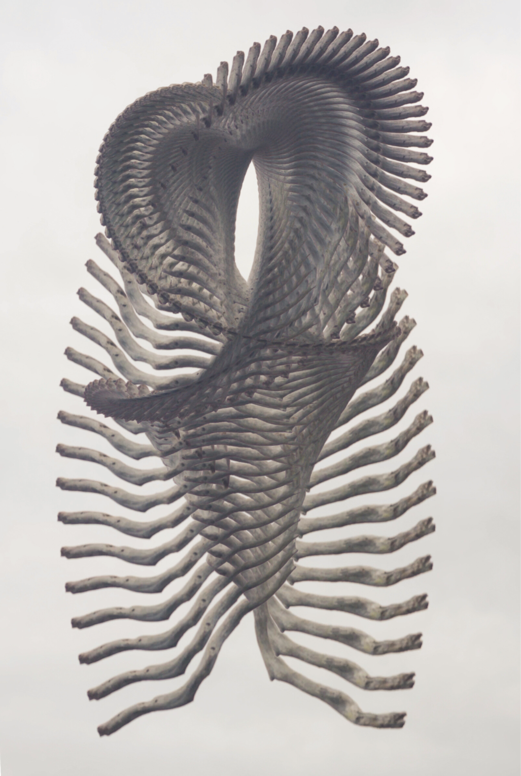 Temporal Sculpture 004 | Ohia Branch | 86 Moments by Anders Carlson - Tiffany's Art Agency