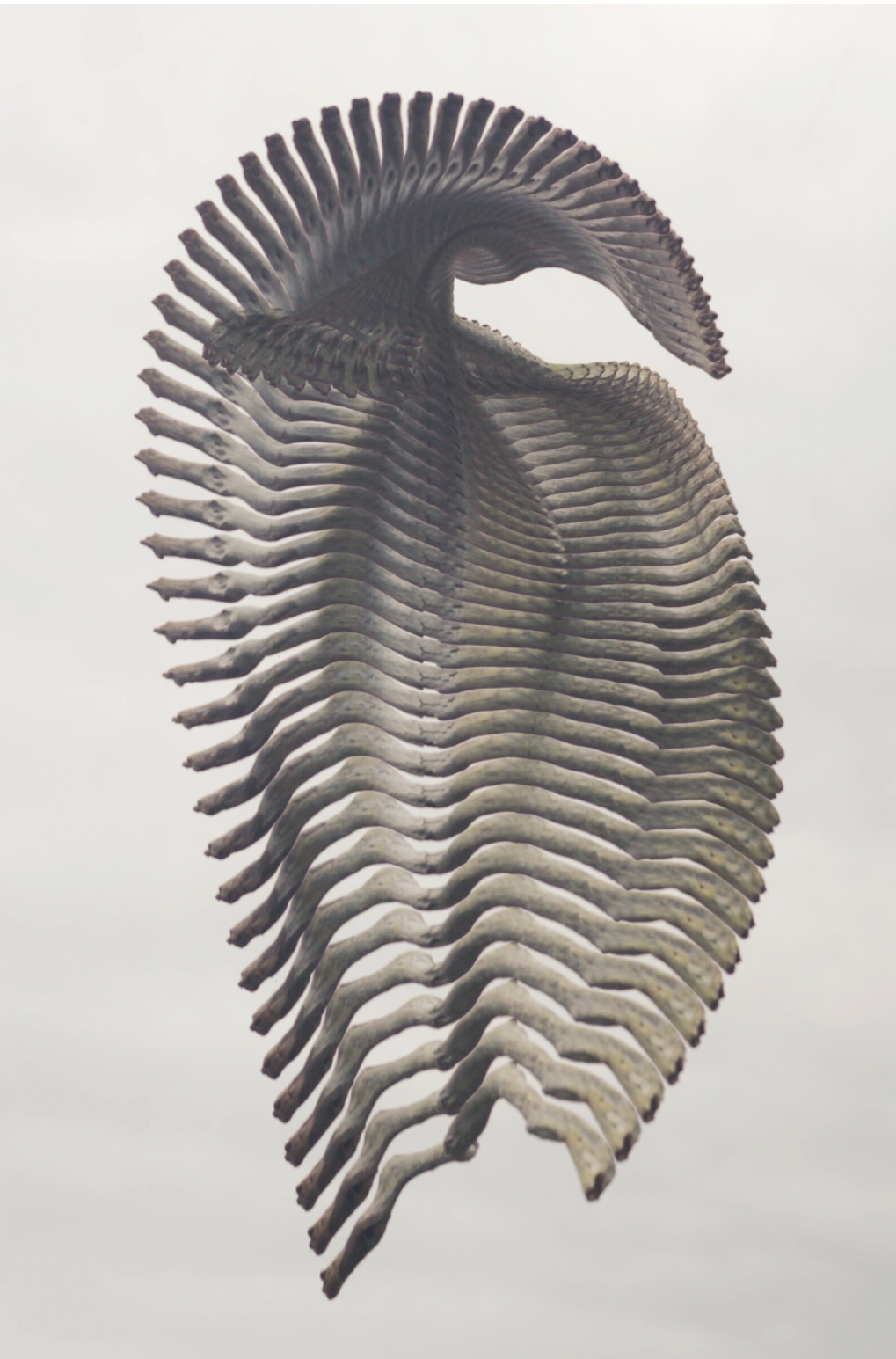Temporal Sculpture 005 | Ohia Branch | 53 Moments by Anders Carlson - Tiffany's Art Agency