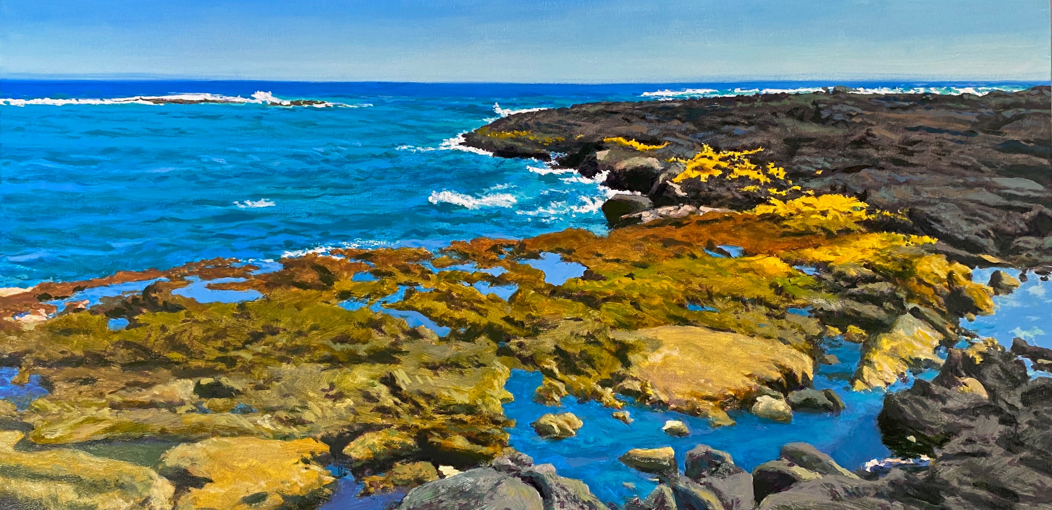 Tide Pools by Peter Loftus - Tiffany's Art Agency - Peter Loftus