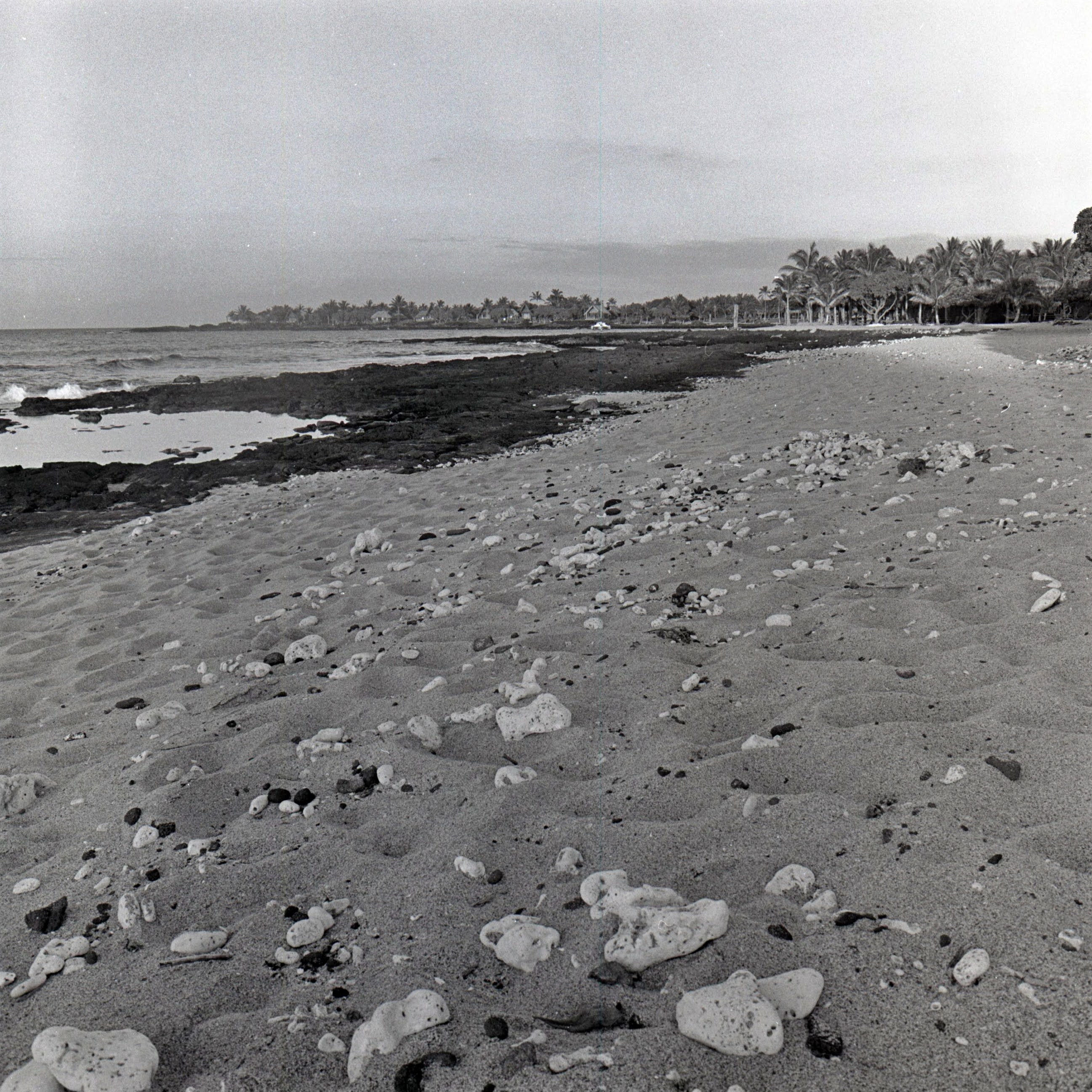 Anaehoomalu Bay 1979 by Cathy Shine - Tiffany's Art Agency - Cathy Shine