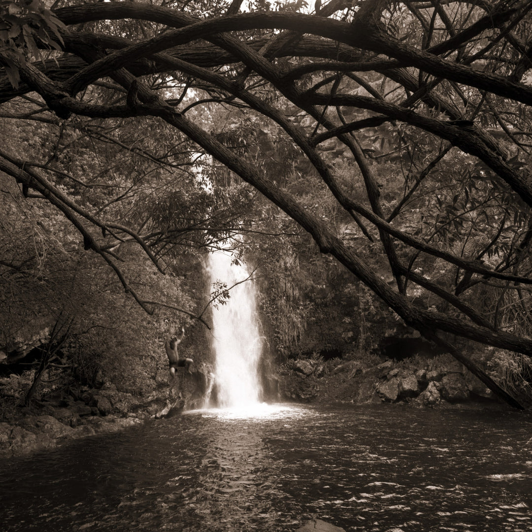 Anna's Pond by Cathy Shine - Tiffany's Art Agency - Cathy Shine