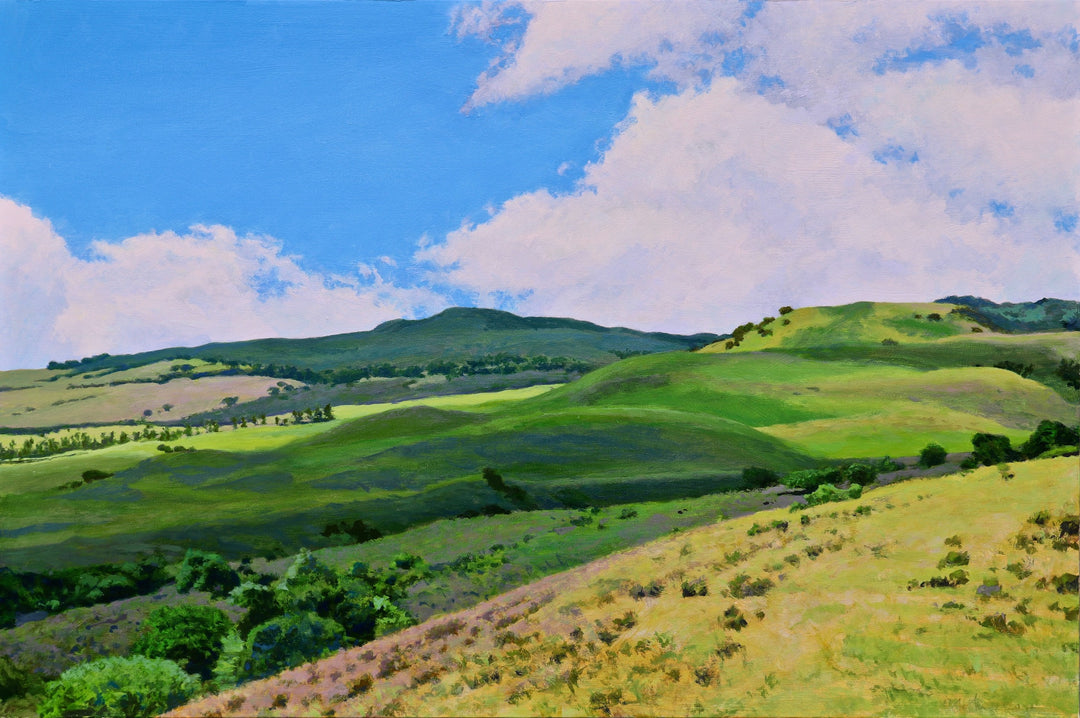 Cloud Dappled Pastures by Peter Loftus - Tiffany's Art Agency - Peter Loftus