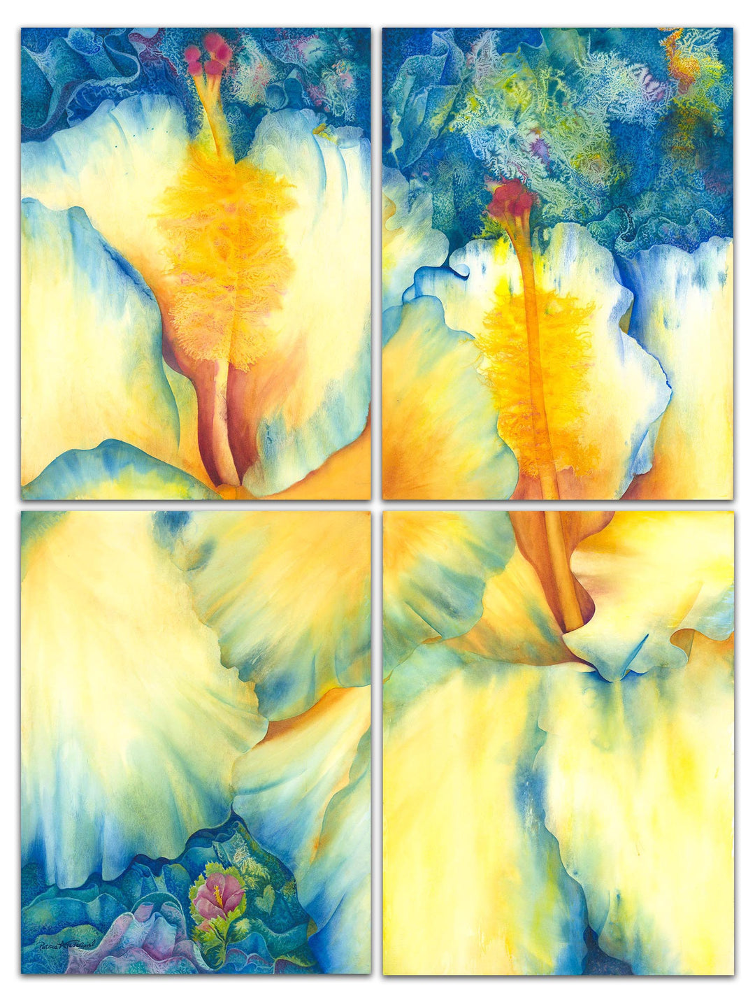 Hibiscus Awakening by Patrice Federspiel - Tiffany's Art Agency - Patrice Federspiel