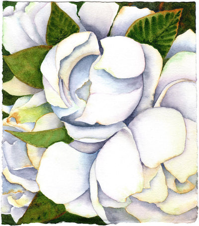 Fresh Start Gardenia by Patrice Federspiel - Tiffany's Art Agency - Patrice Federspiel