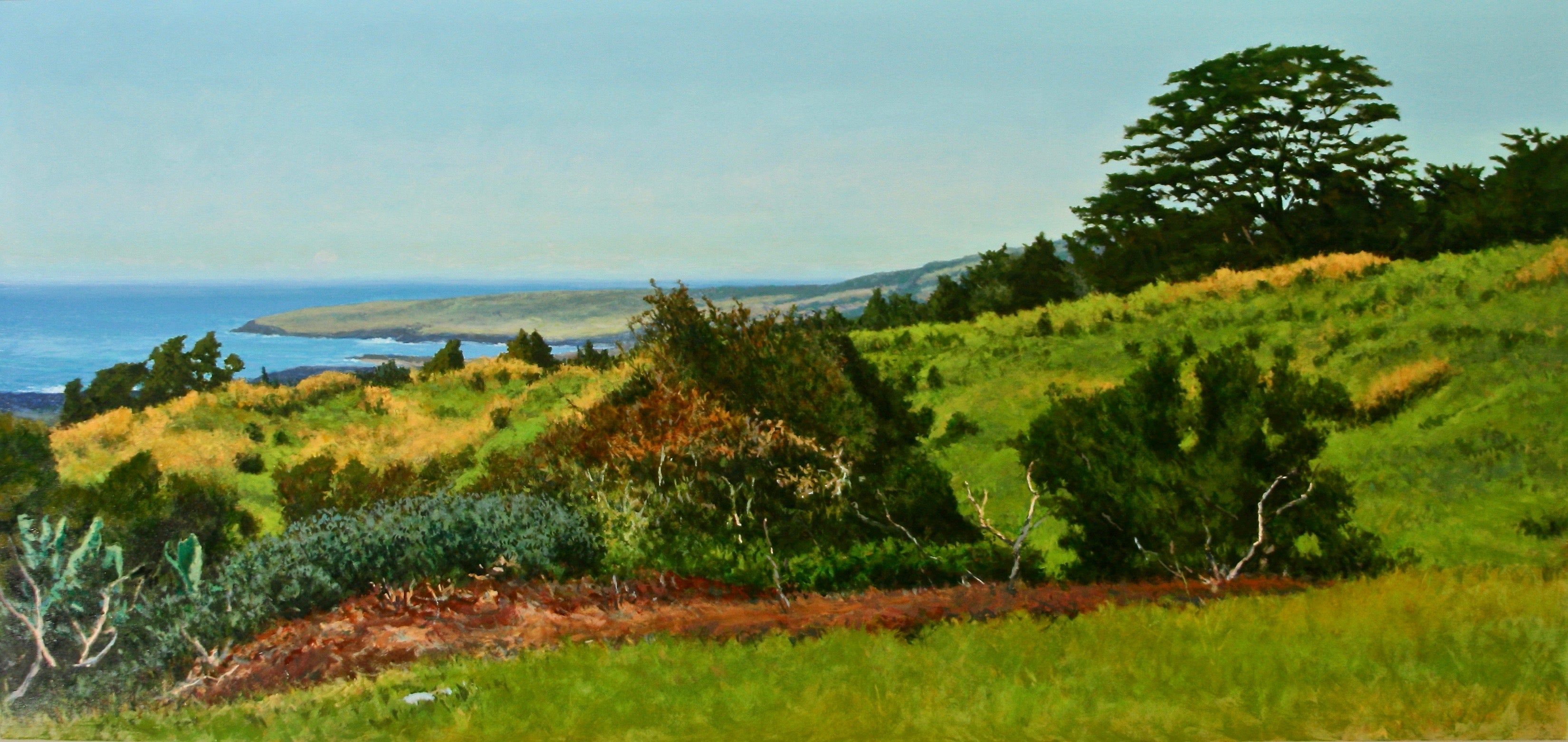Kau Highland View by Peter Loftus - Tiffany's Art Agency - Peter Loftus
