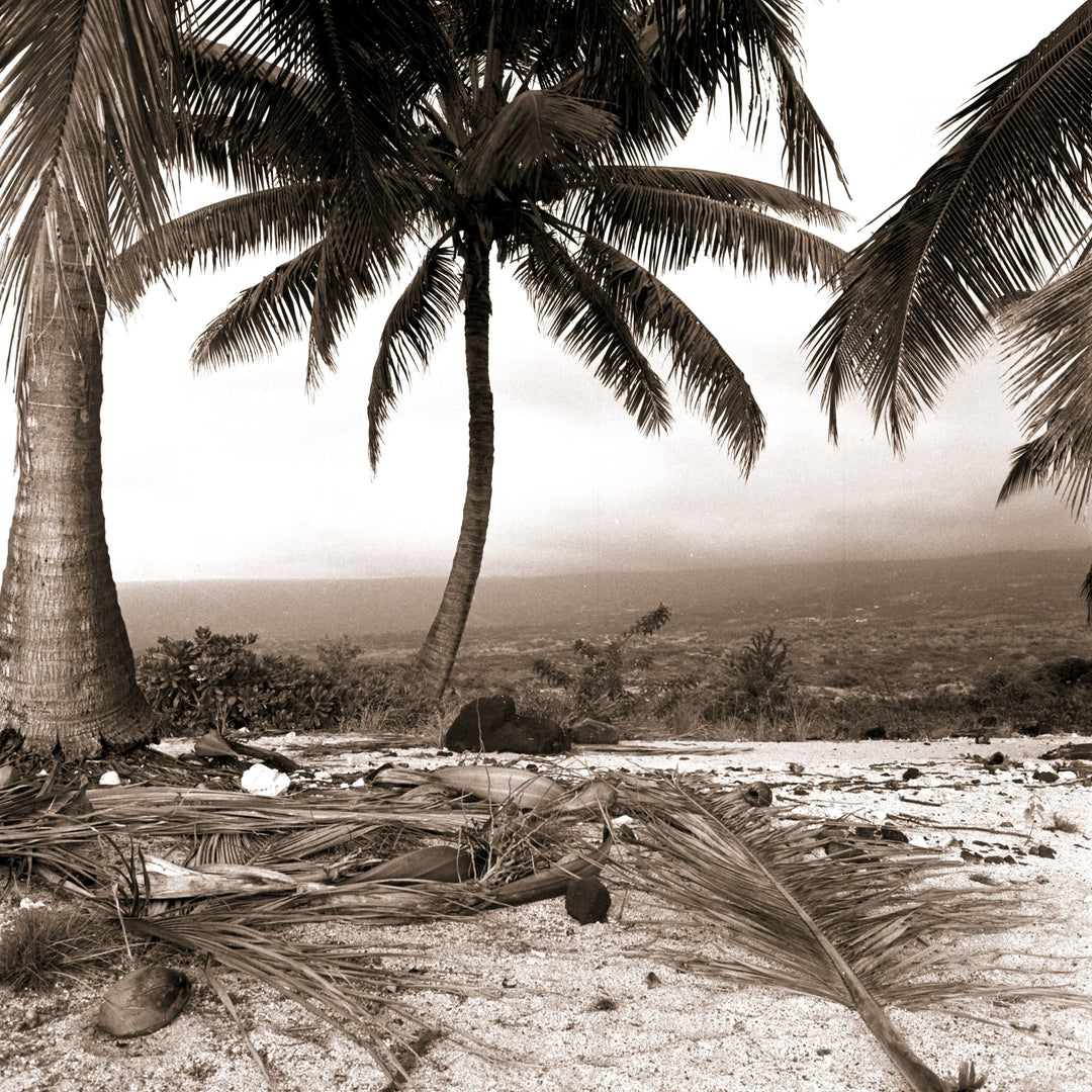 Puuhonua O Honaunau by Cathy Shine - Tiffany's Art Agency - Cathy Shine