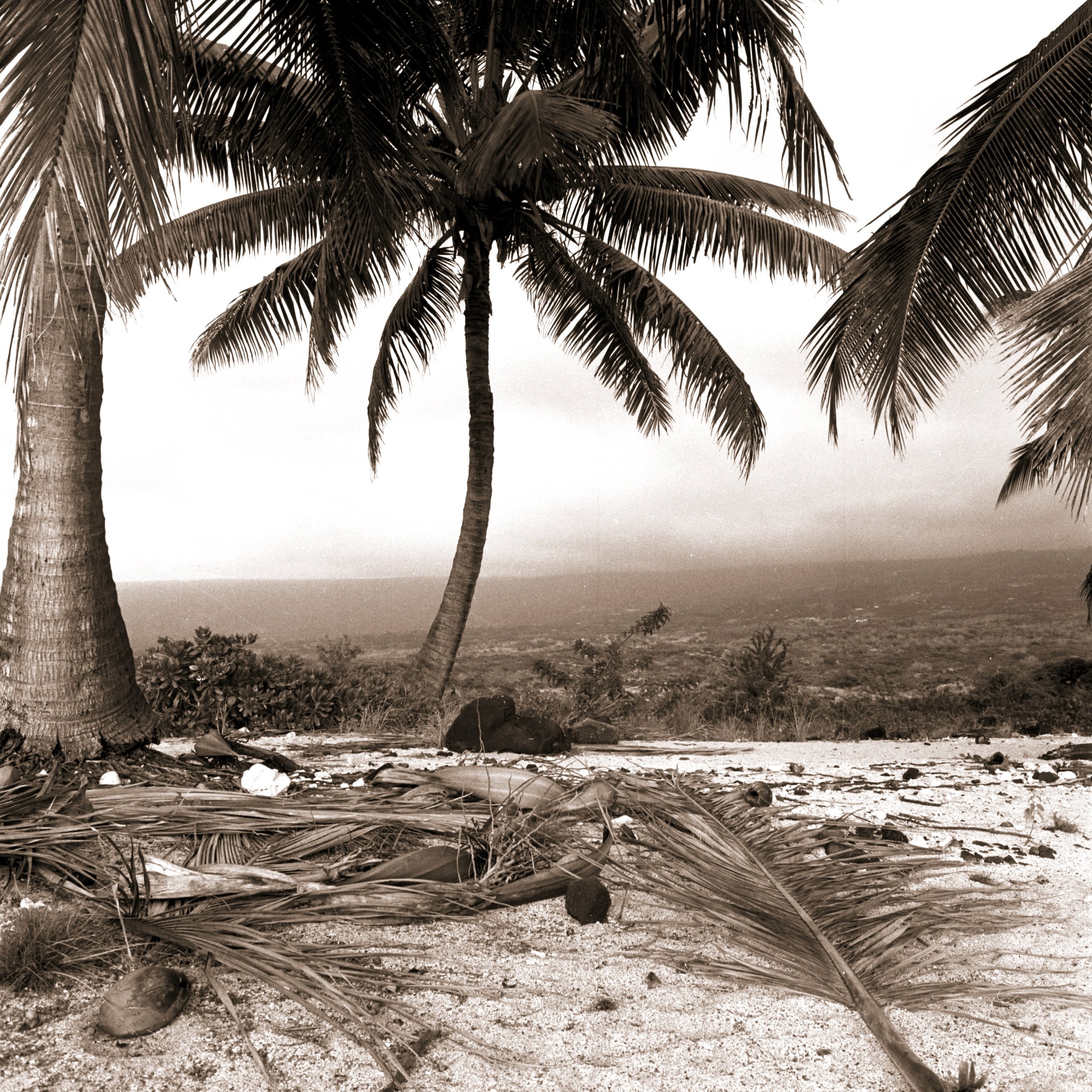 Puuhonua O Honaunau by Cathy Shine - Tiffany's Art Agency - Cathy Shine