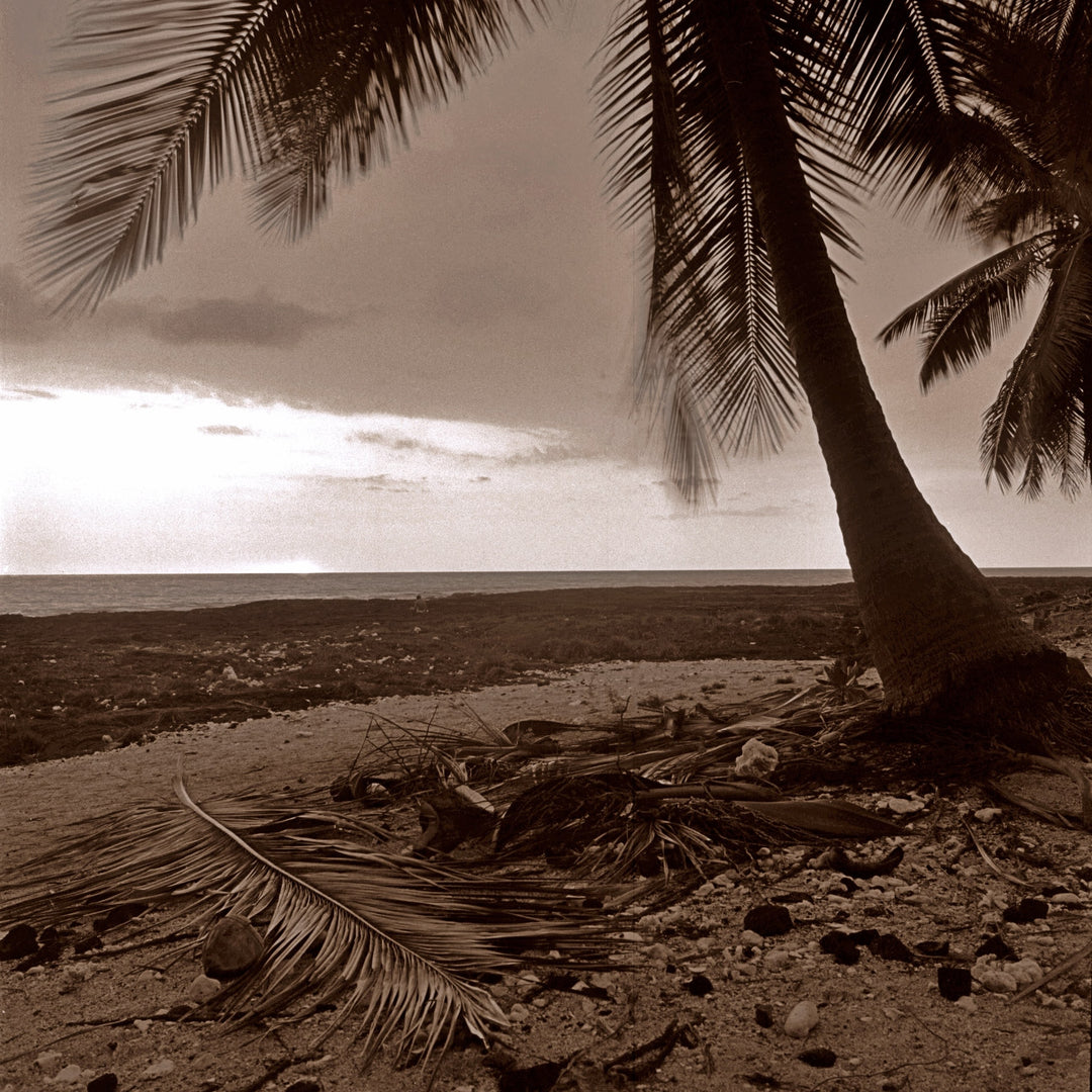 Puuhonua O Honaunau 2010 by Cathy Shine - Tiffany's Art Agency - Cathy Shine
