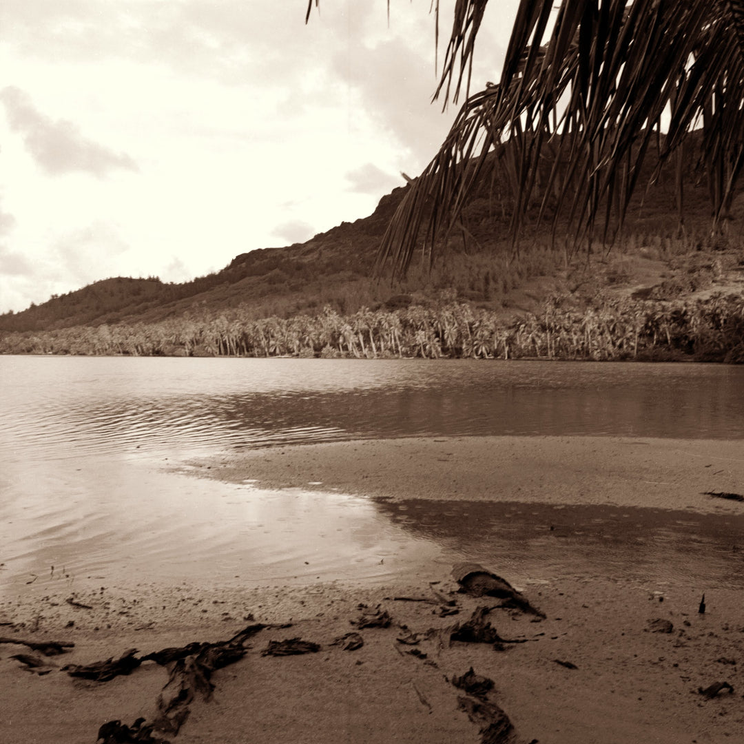 Secret Beach by Cathy Shine - Tiffany's Art Agency - Cathy Shine