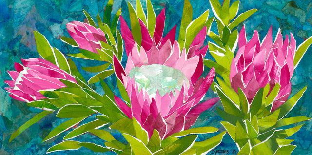 King Protea by Mary Spears - Tiffany's Art Agency - Mary Spears