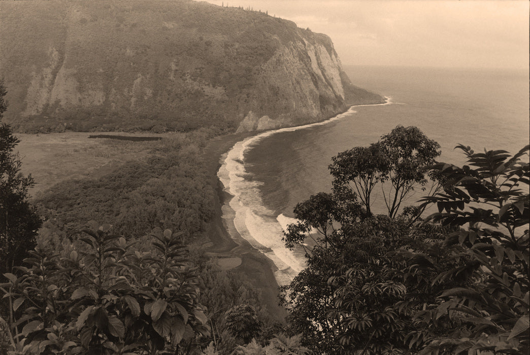 Waipio Valley by Cathy Shine - Tiffany's Art Agency - Cathy Shine