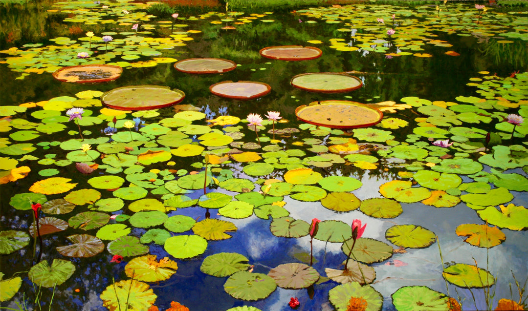 Water Lilies by Peter Loftus - Tiffany's Art Agency - Peter Loftus