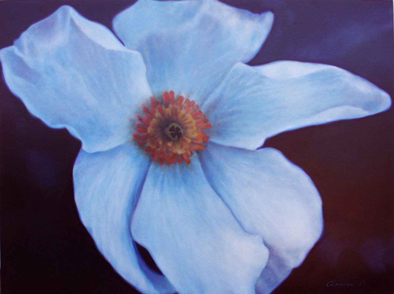 Springing into Bloom