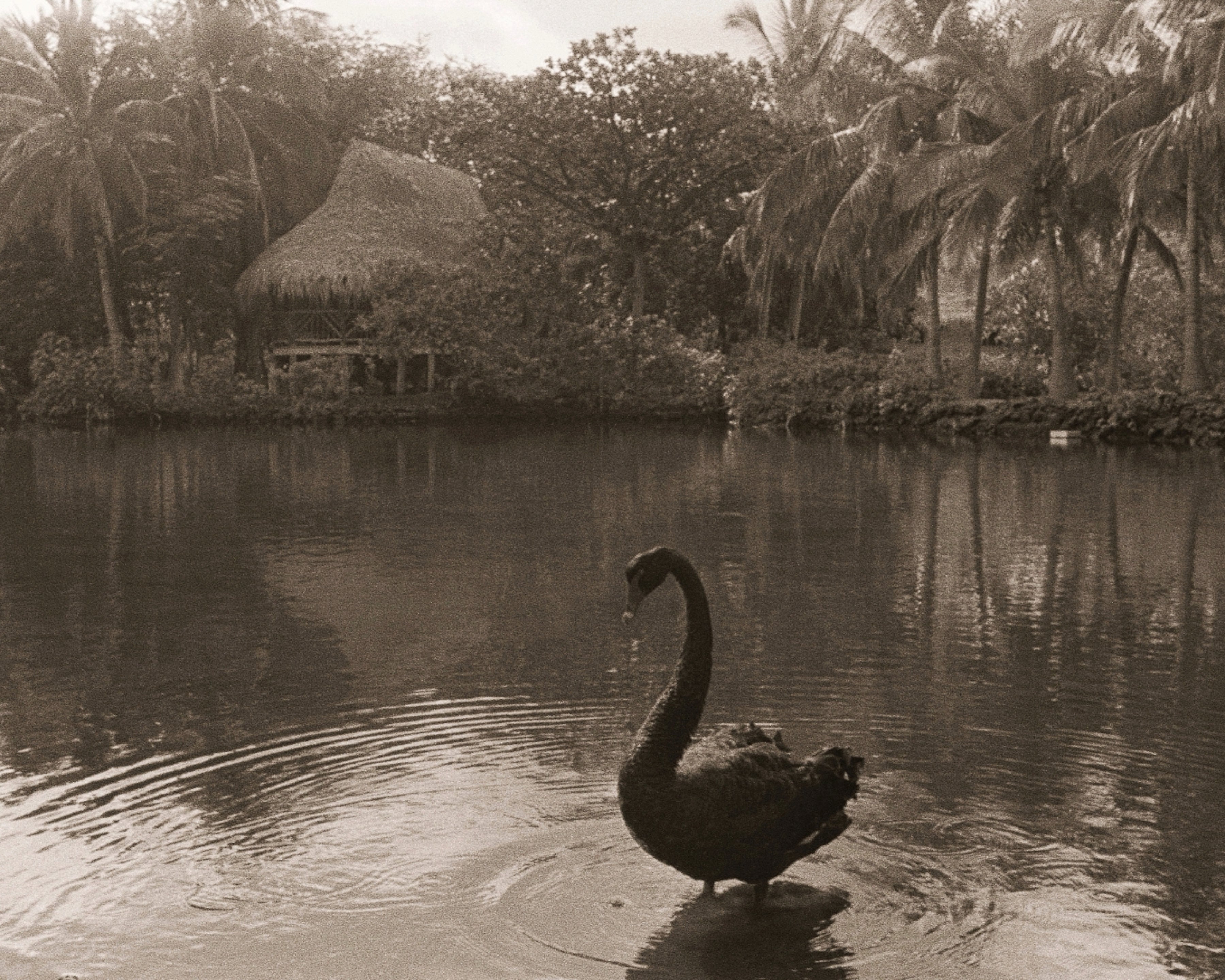 2k or less