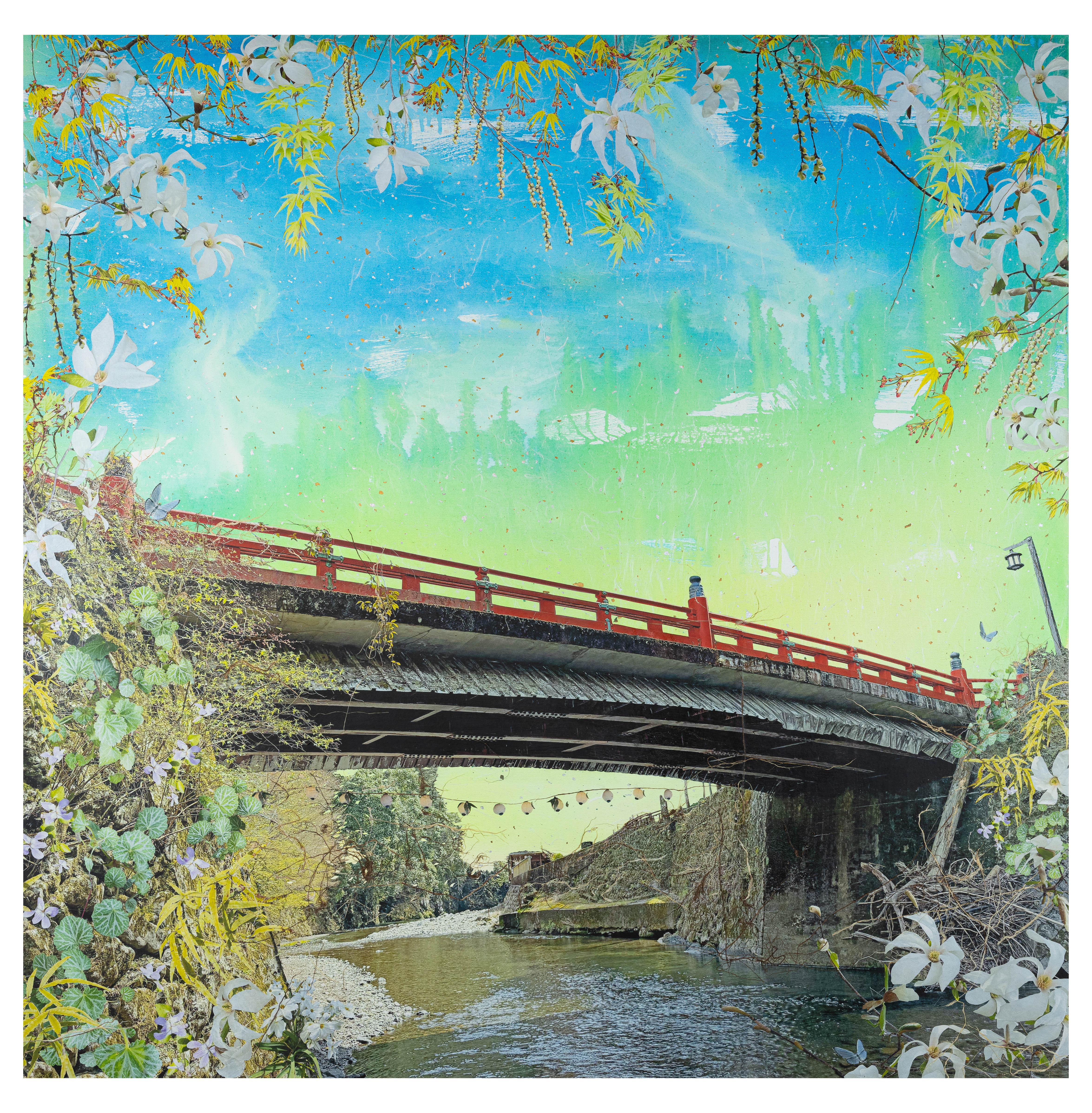 Margo Ray - Contemporary Hawaii Artist