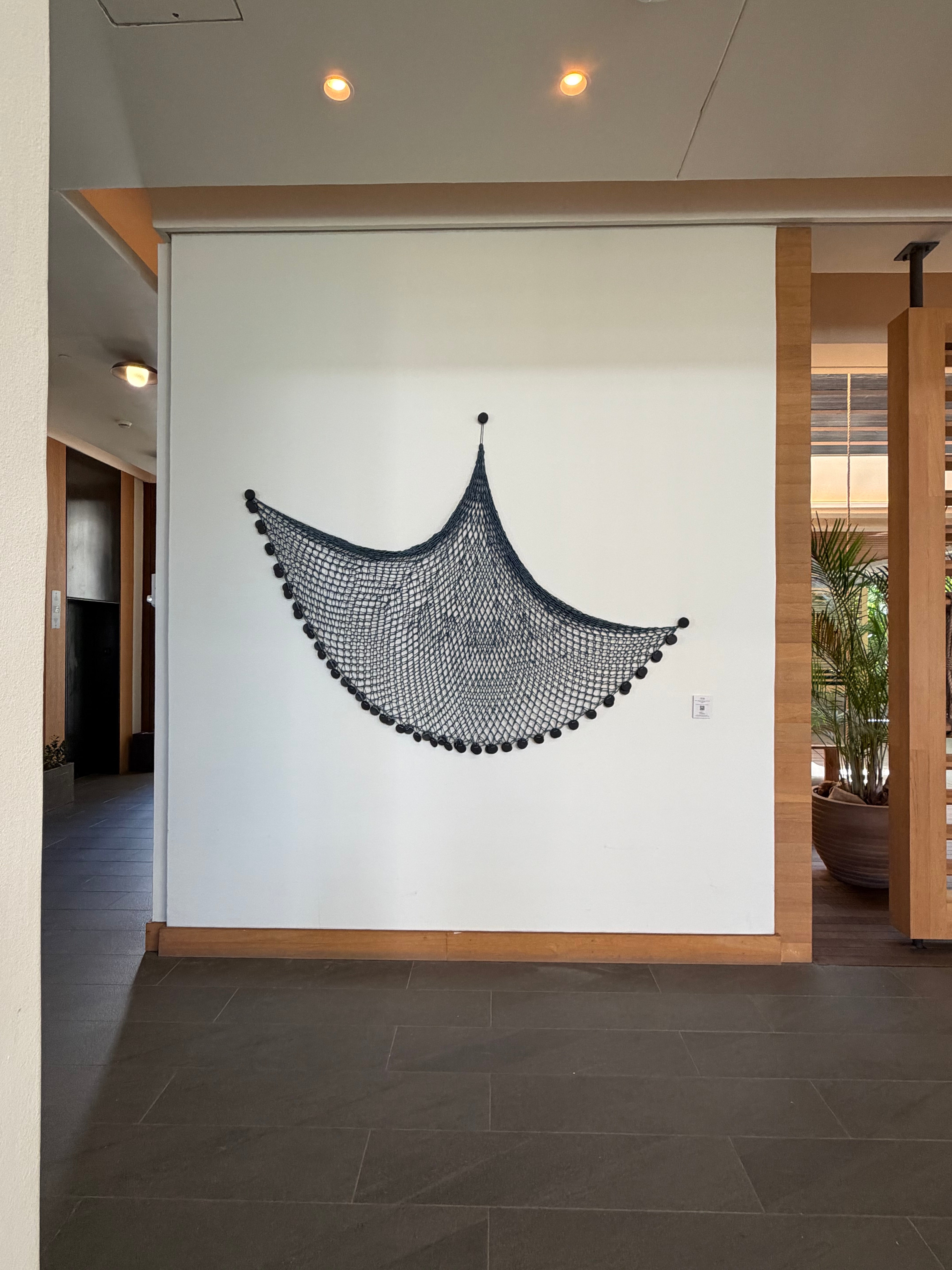 Hawaiian Fishing Net by Apo Aquino