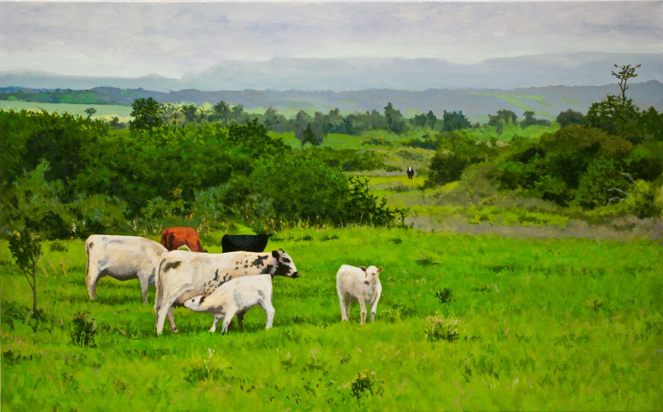 Wildlife by Contemporary Hawaii Artists