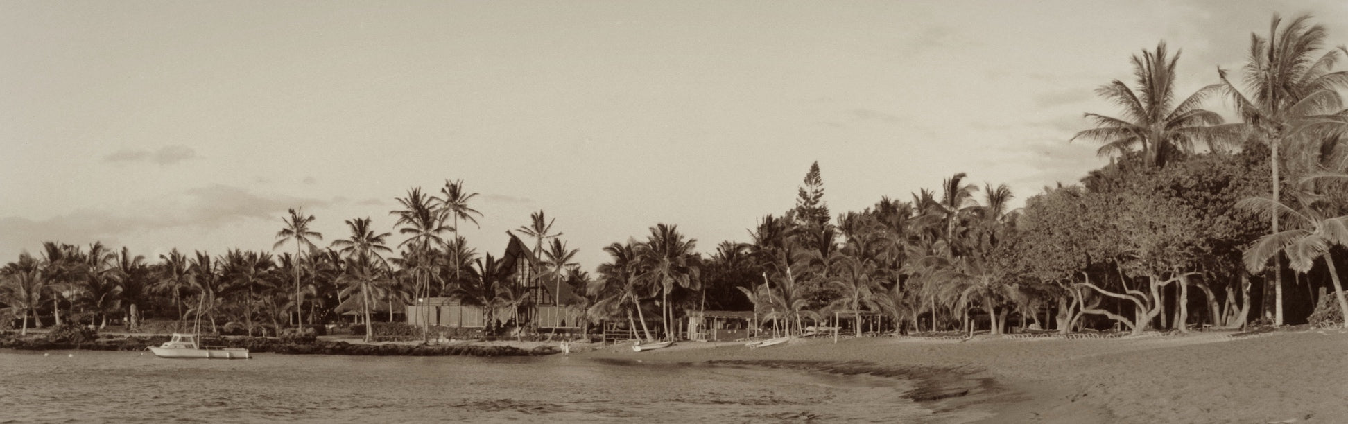 Cathy Shine - Contemporary Hawaii Photographer