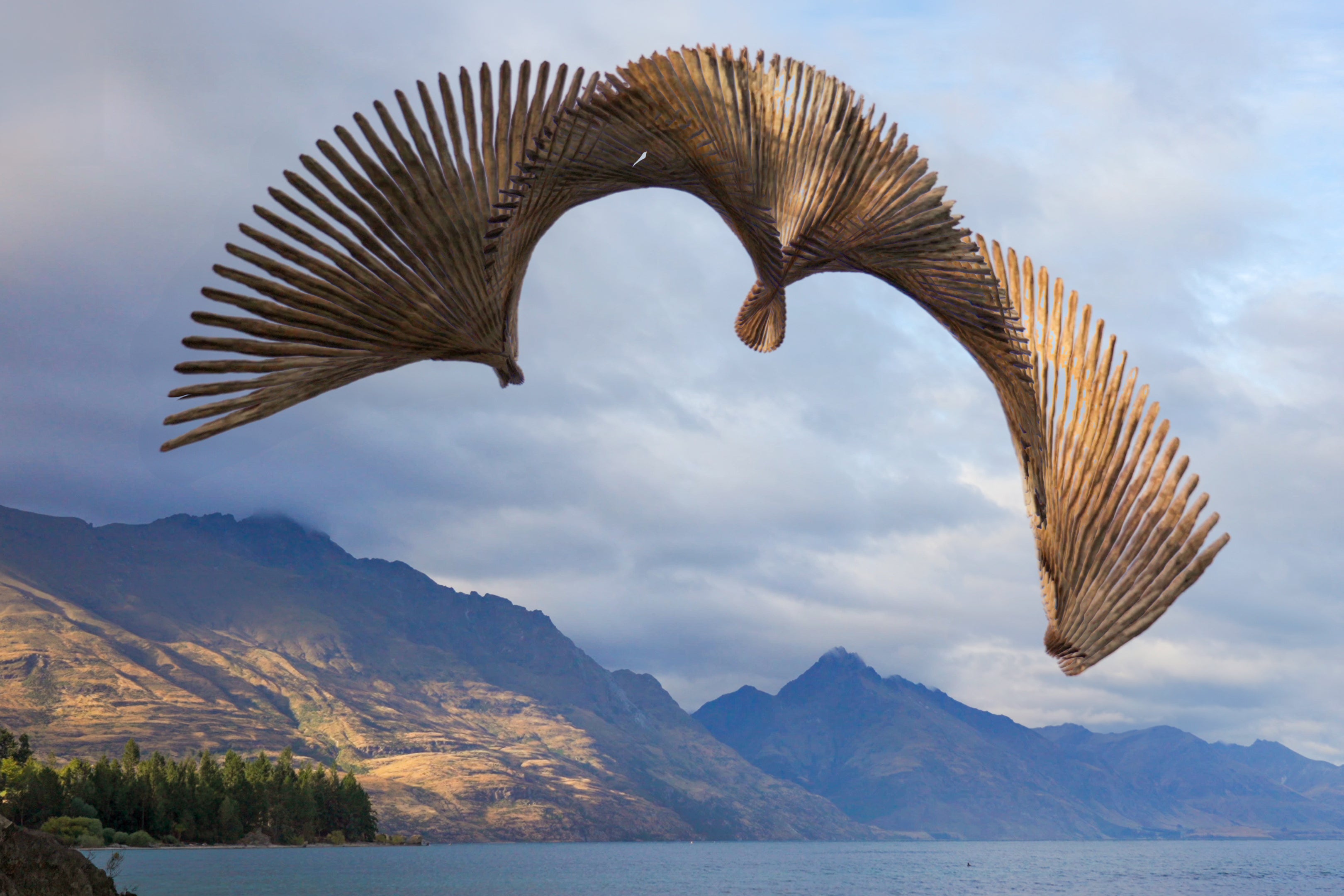 Anders Carlson - Hawaii Photographer/Videographer