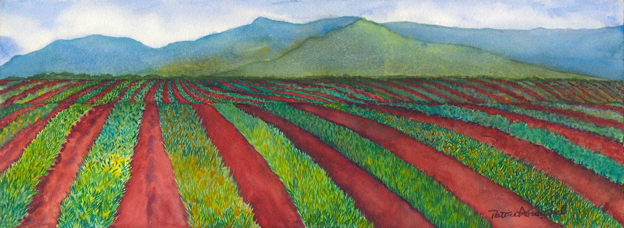 Pineapple Fields Forever II by Patrice Federspiel - Tiffany's Art Agency - Patrice Federspiel