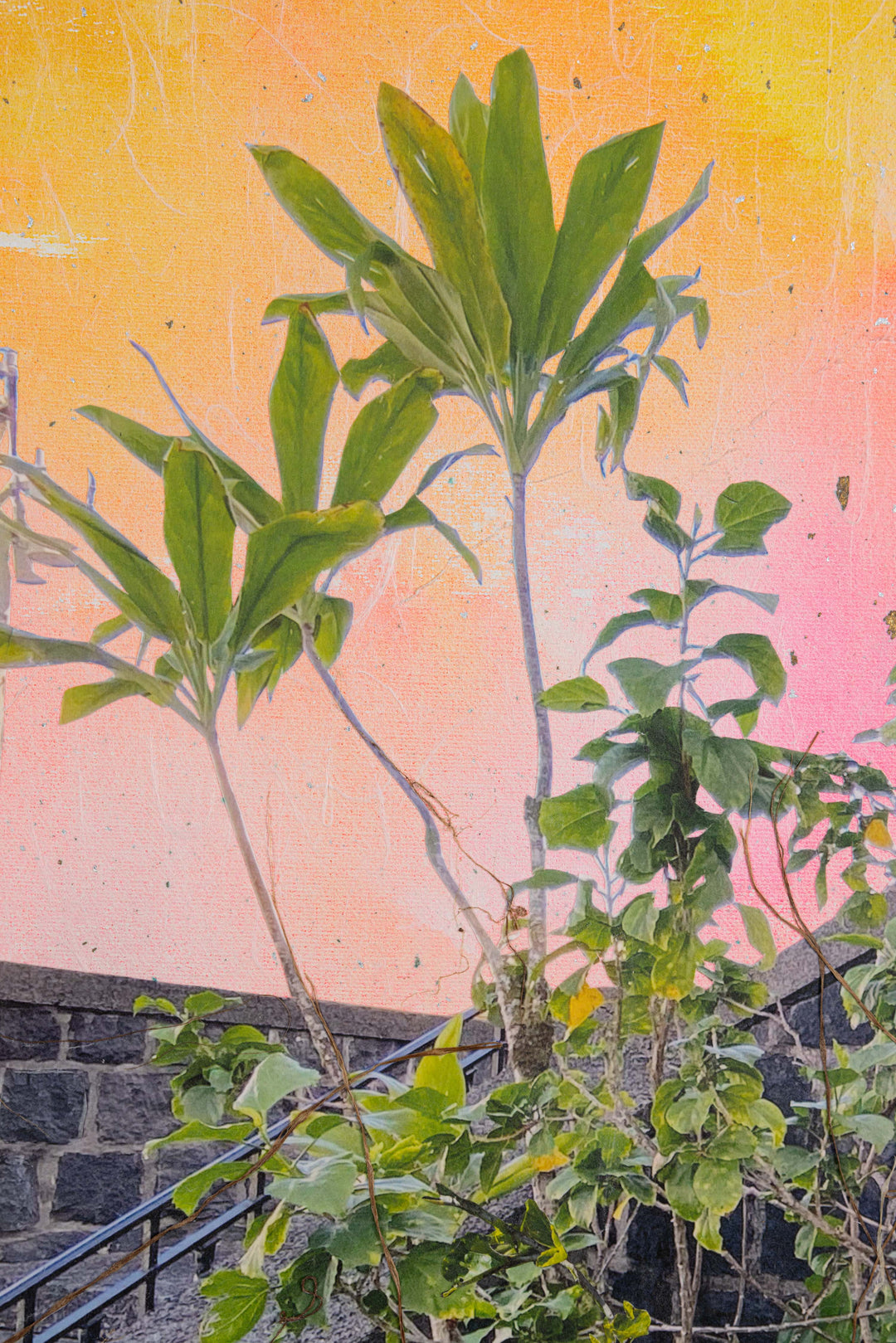 Somewhere Near and Far, Hilo Post Office by Margo Ray