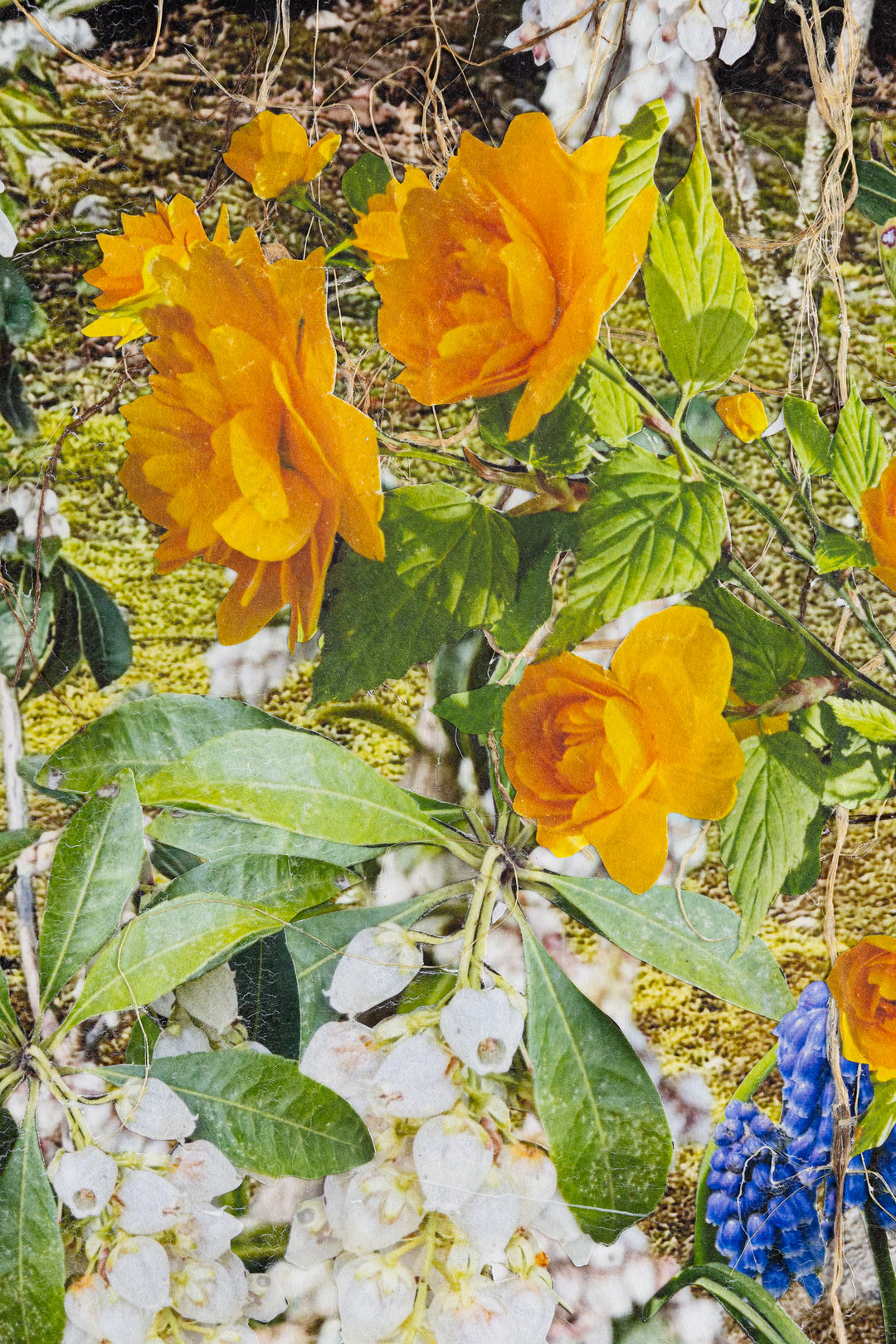 Somewhere Near and Far, Katsuragawa Staircase by Margo Ray - Tiffany's Art Agency - Margo Ray