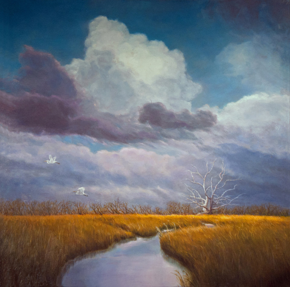 Cloud Burst Over Marsh by Katherine Kean - Tiffany's Art Agency - Katherine Kean