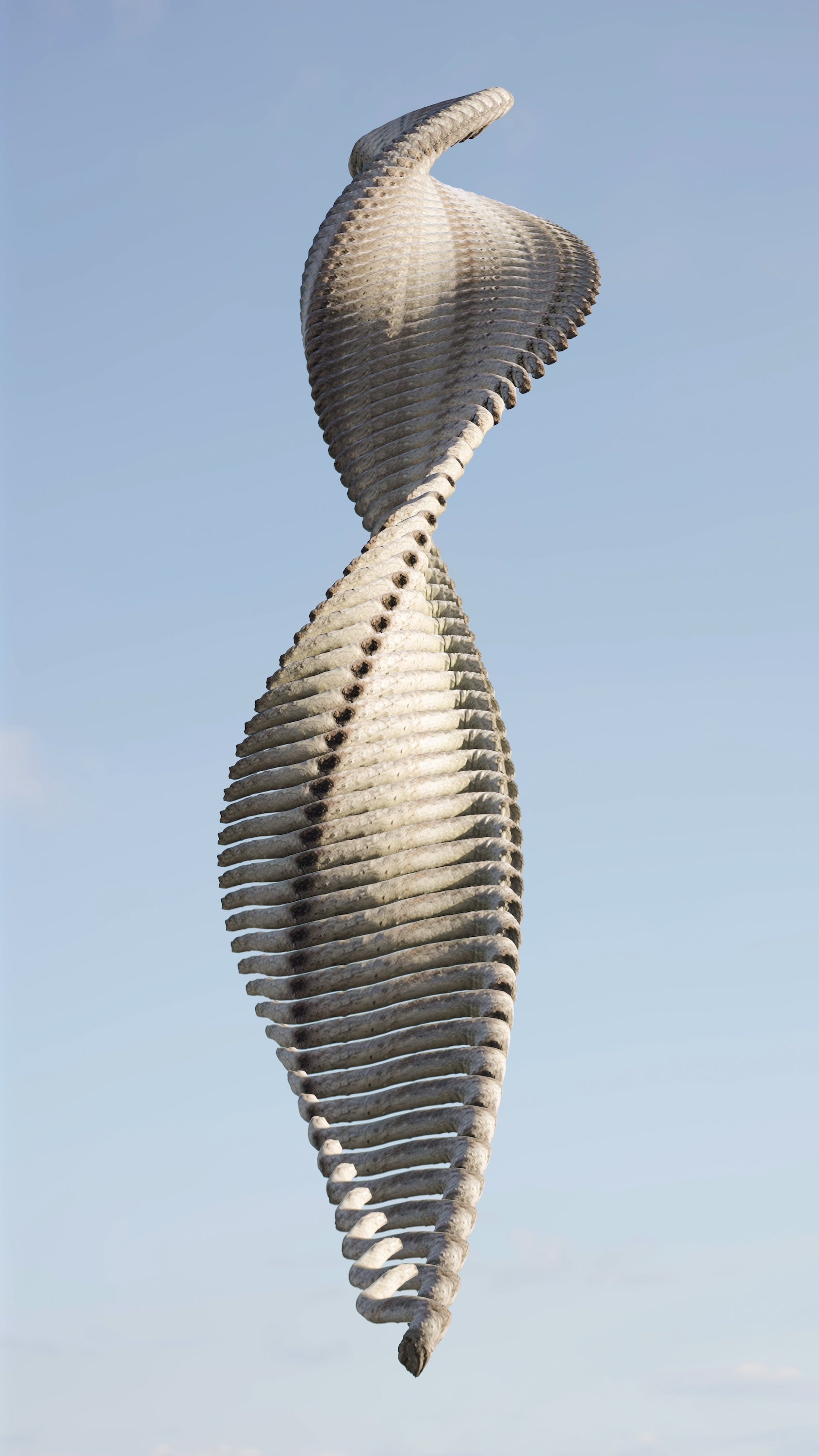 Temporal Sculpture 006 | Ohia Branch | 73 Moments by Anders Carlson