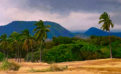 Sea Mountain Palms by Peter Loftus - Tiffany's Art Agency - Peter Loftus