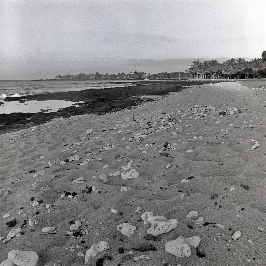 Anaehoomalu Bay 1979 by Cathy Shine - Tiffany's Art Agency - Cathy Shine