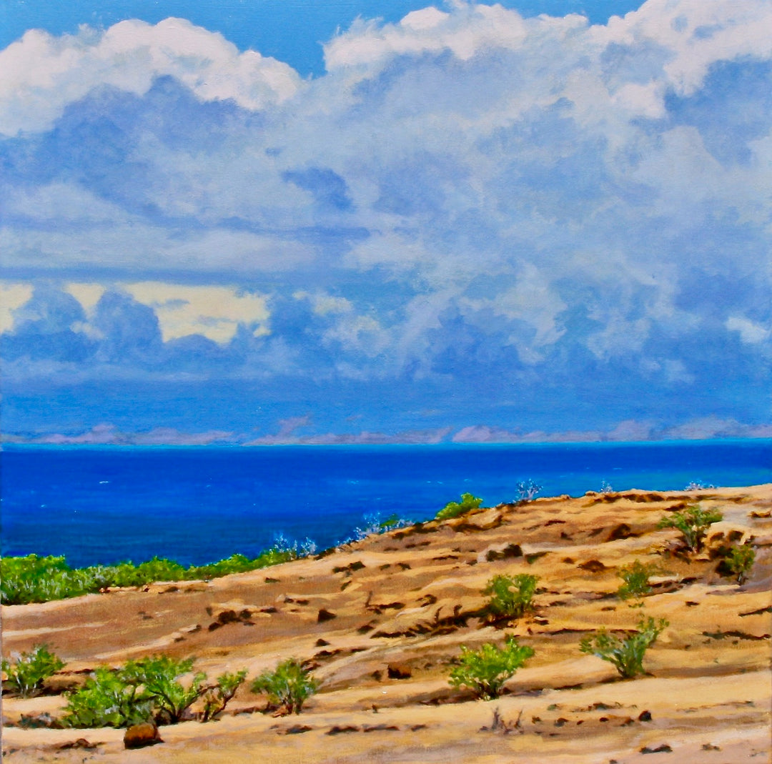 Clouds Near Waialea by Peter Loftus - Tiffany's Art Agency - Peter Loftus