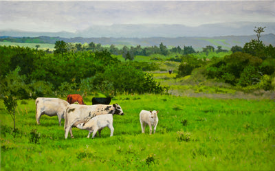 Kau Cattle by Peter Loftus - Tiffany's Art Agency - Peter Loftus