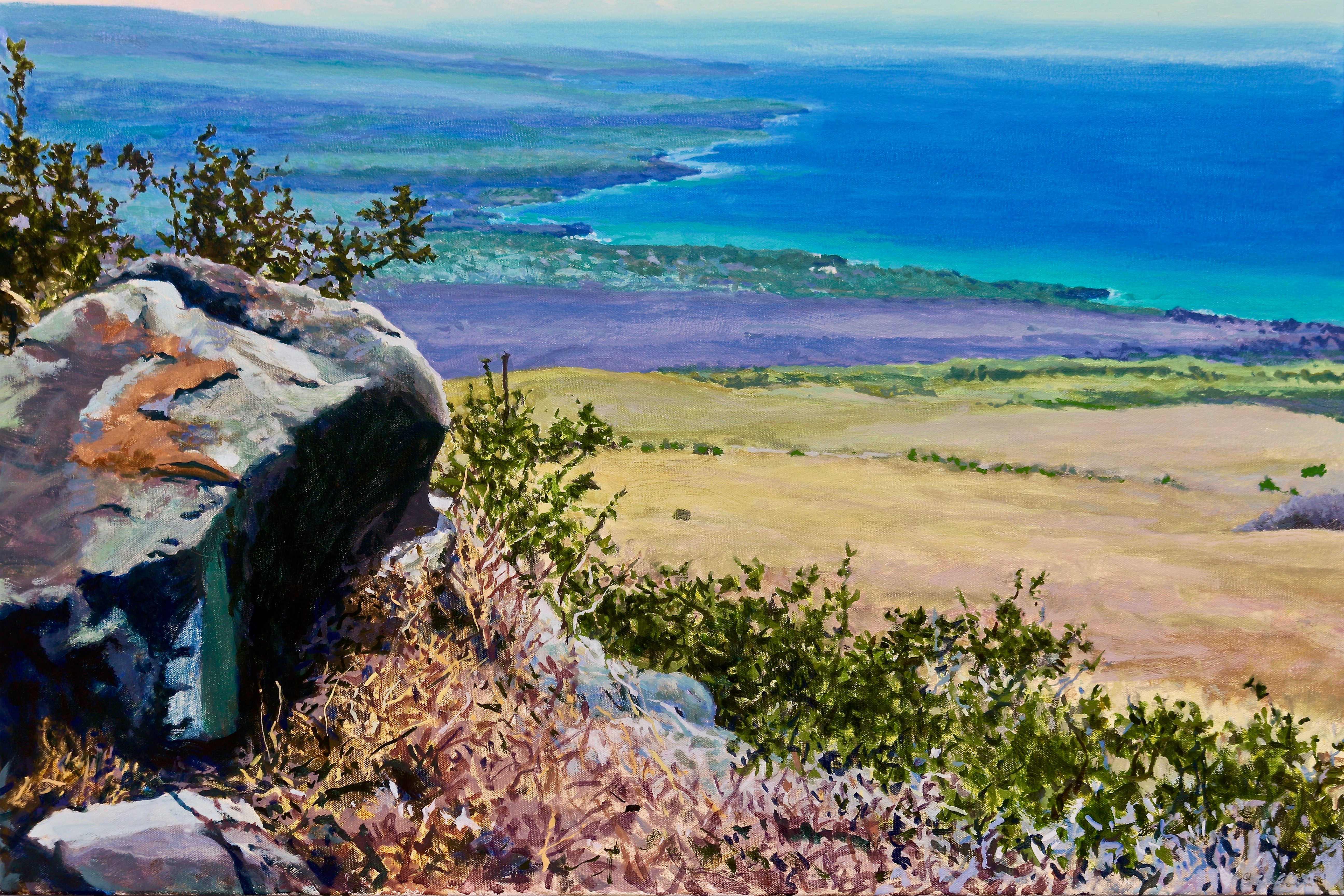 Kohala Overlook by Peter Loftus - Tiffany's Art Agency - Peter Loftus