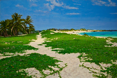 Makalawena Dunes by Peter Loftus - Tiffany's Art Agency - Peter Loftus