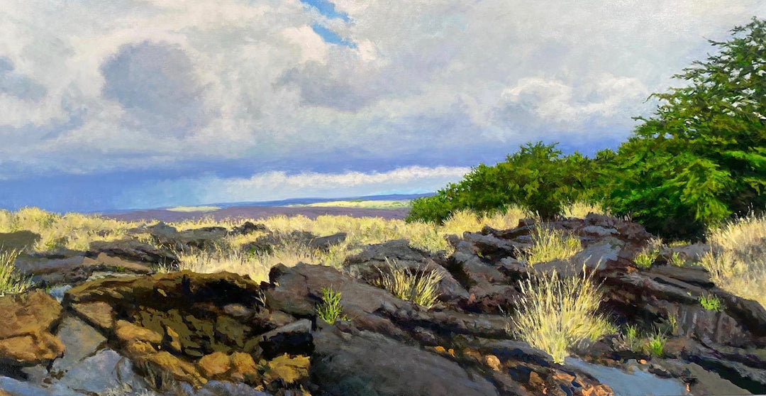 Mauka Showers above Waikoloa by Peter Loftus - Tiffany's Art Agency - Peter Loftus