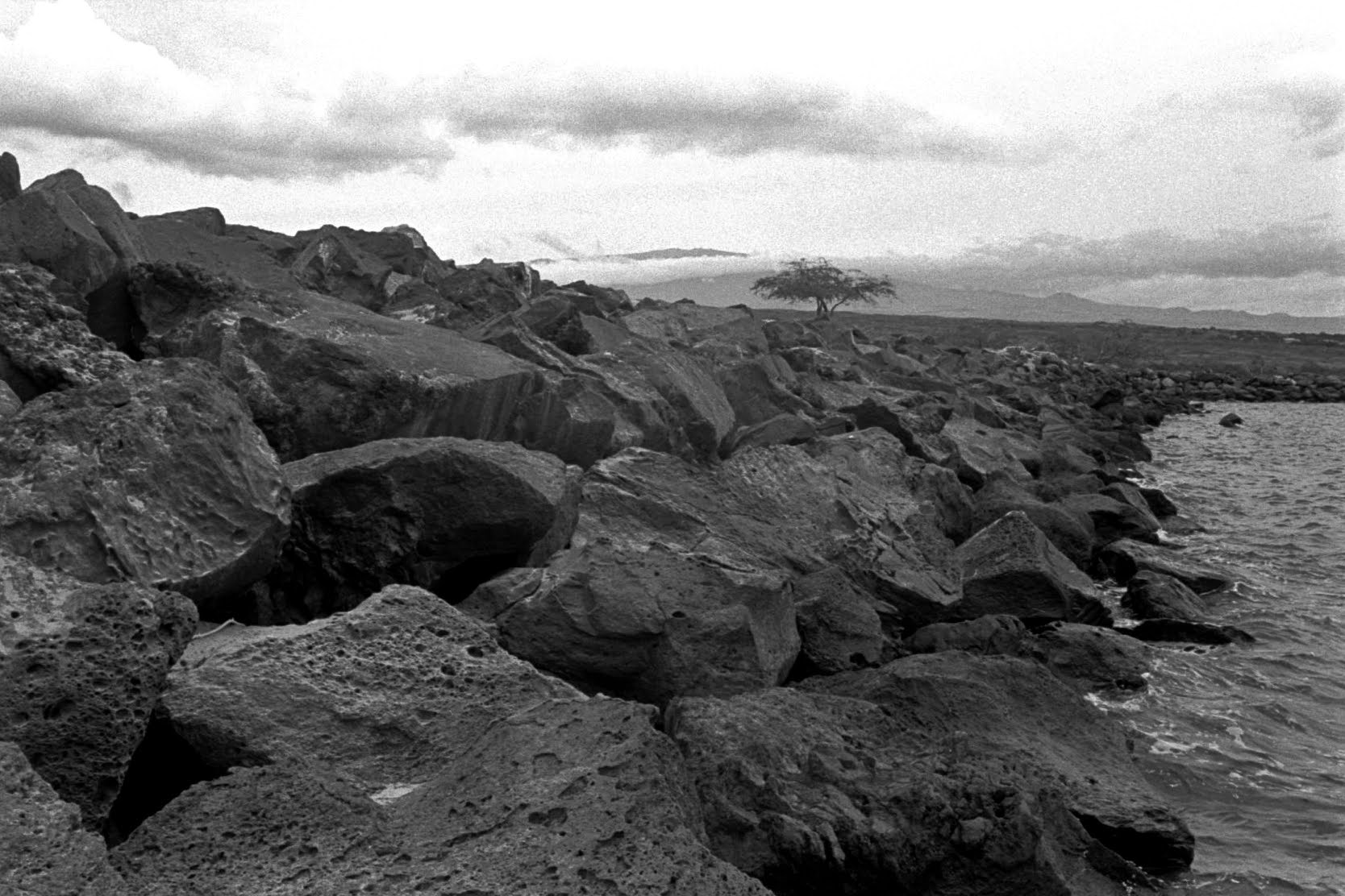 Mauna Kea From Puna by Cathy Shine - Tiffany's Art Agency - Cathy Shine
