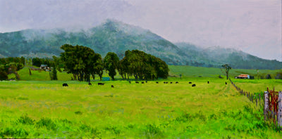 Pasture Near Waimea by Peter Loftus - Tiffany's Art Agency - Peter Loftus