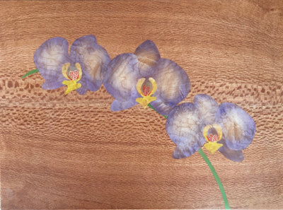 Purple Orchid by David Reisland - Tiffany's Art Agency - David Reisland