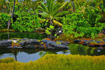 Tropical Paradise by Peter Loftus - Tiffany's Art Agency - Peter Loftus