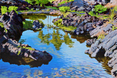 Waikoloa Water Park 1 by Peter Loftus - Tiffany's Art Agency - Peter Loftus