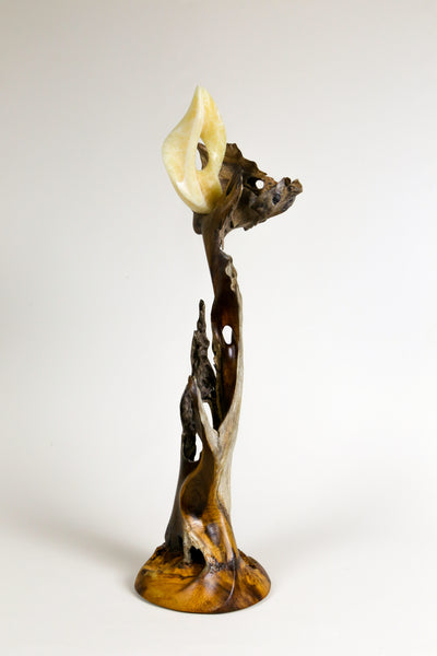 Nesting Fire by John Strohbehn - Tiffany's Art Agency - John Strohbehn